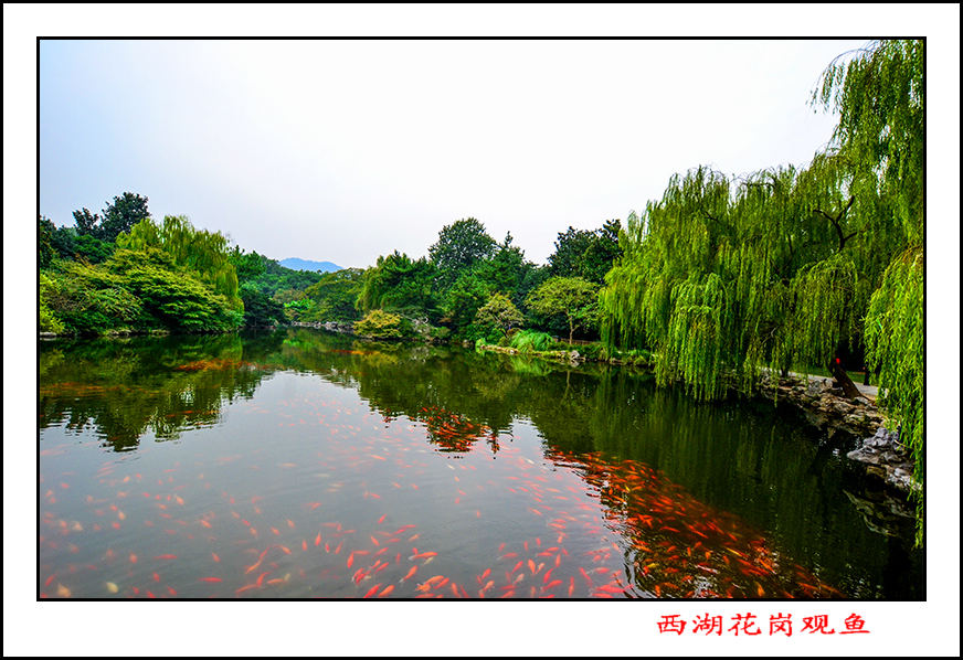 20131018պڹƬ 047.jpg