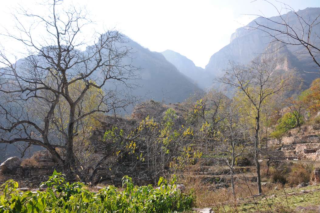 DSC_1005-09.jpg
