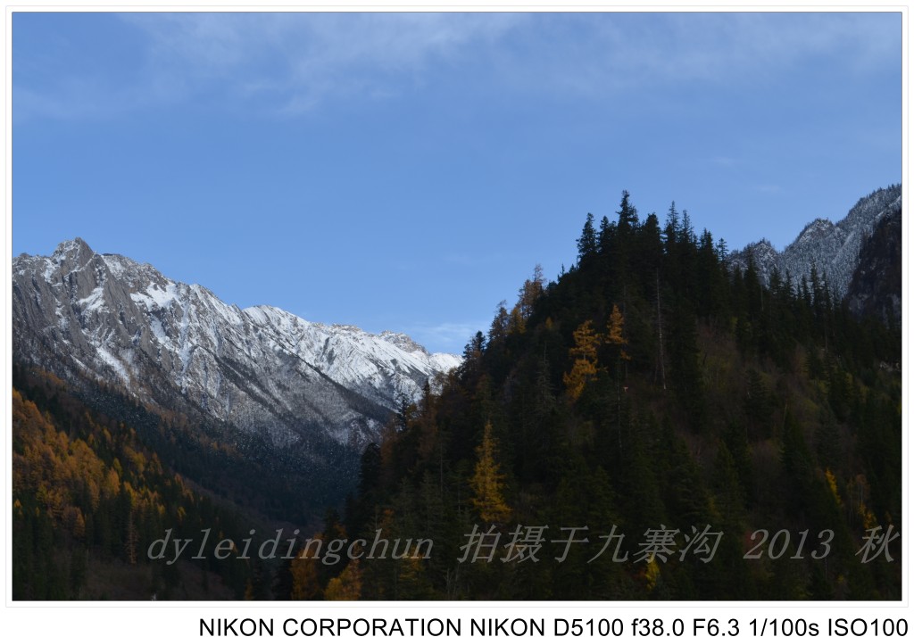 conew_dsc_1137.jpg