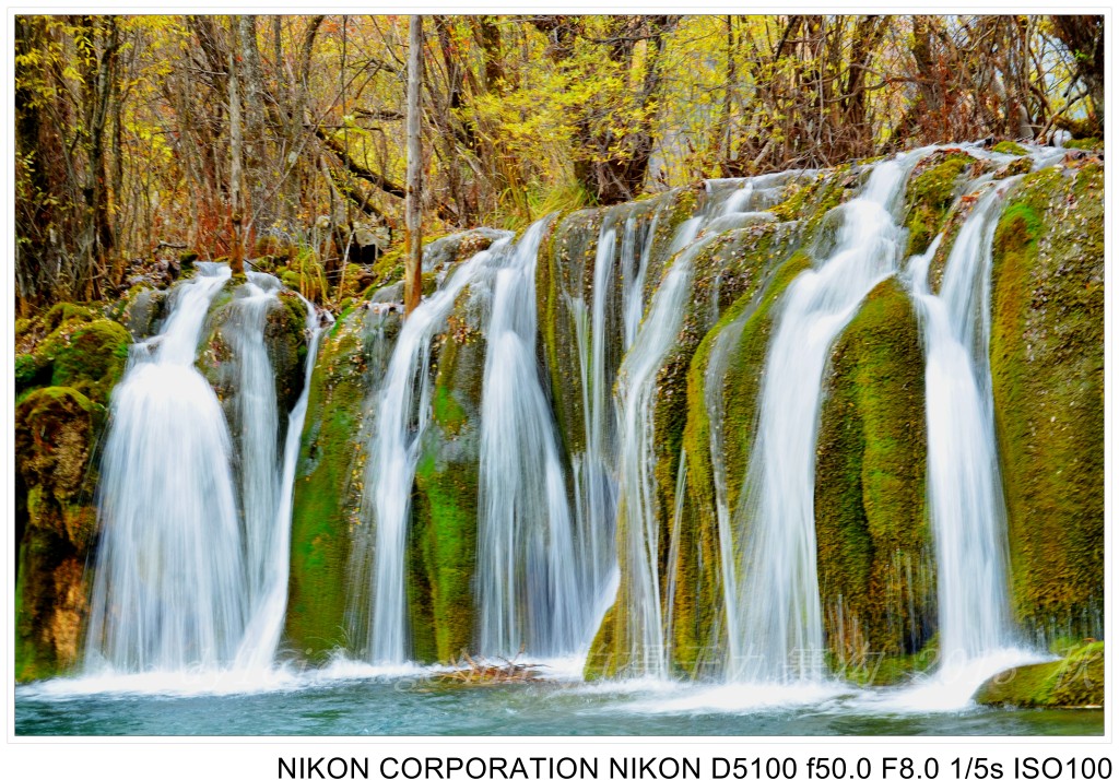 conew_dsc_1212.jpg