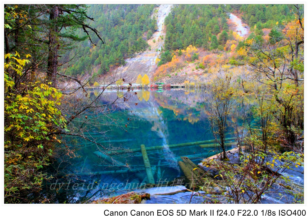 conew_img_3830.jpg
