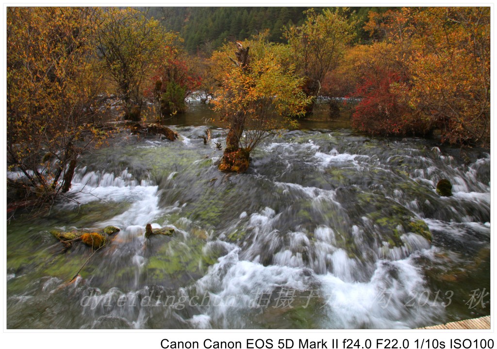 conew_img_3870.jpg