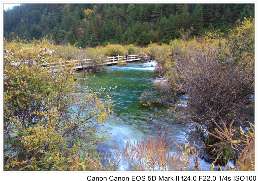 conew_img_3885.jpg