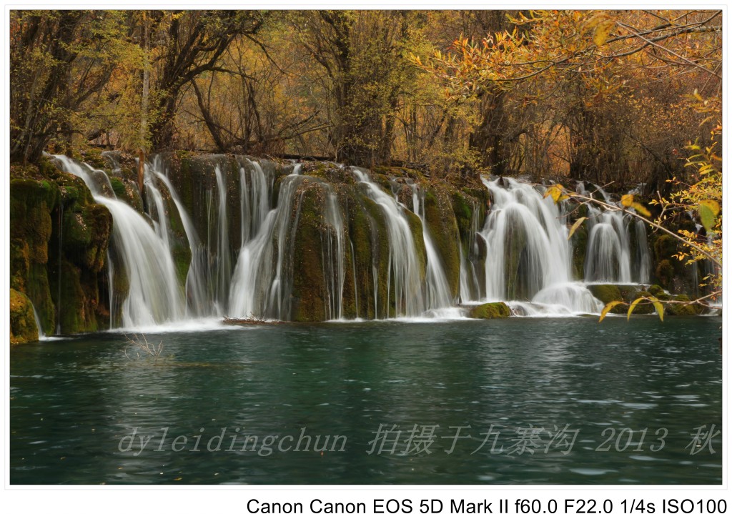 conew_img_3919.jpg