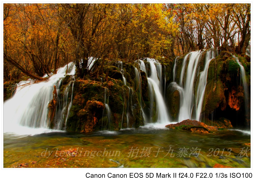conew_img_3930.jpg