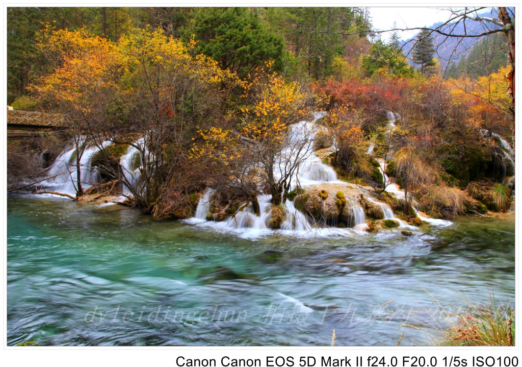 conew_img_4140.jpg