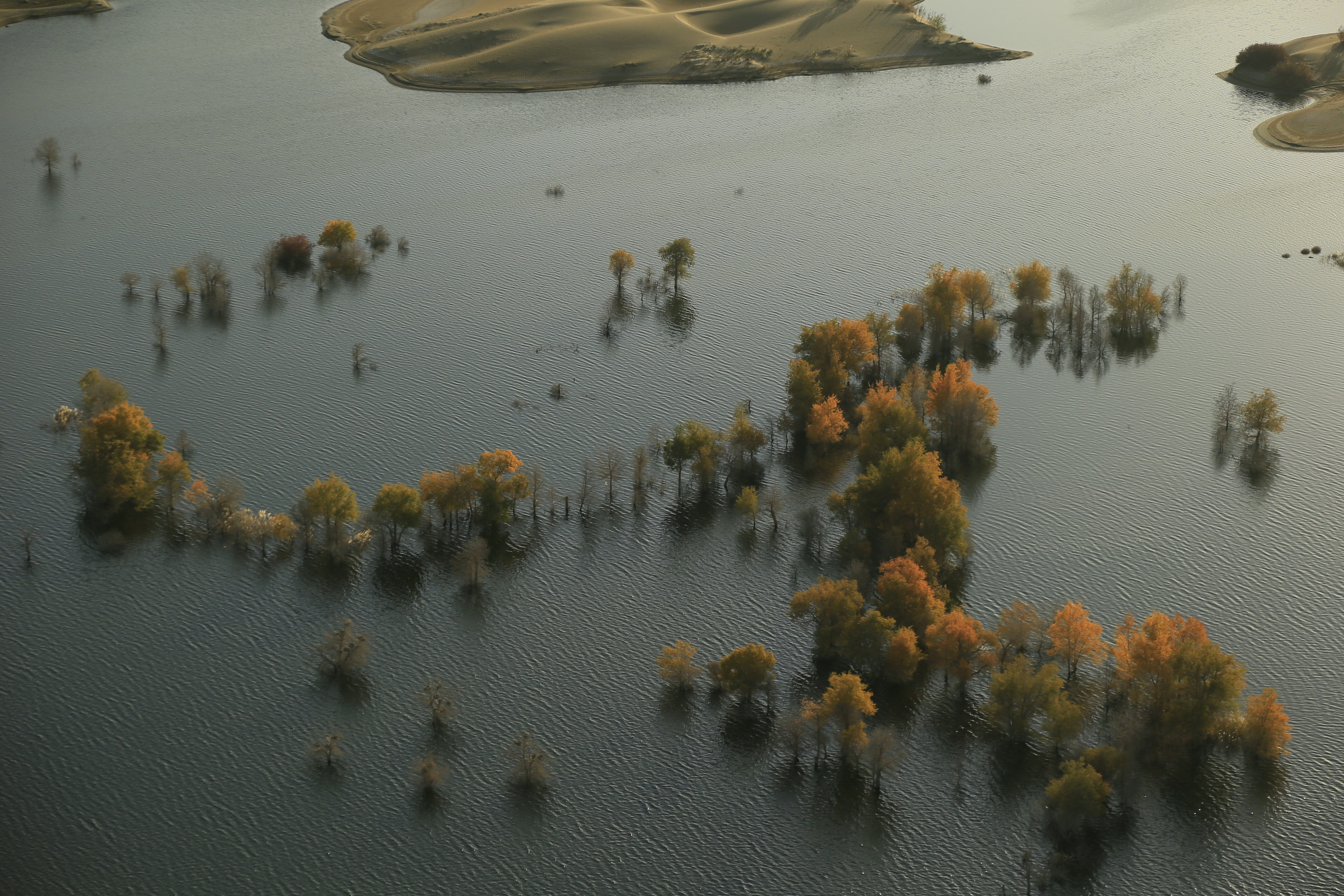 _Y0R0368.JPG