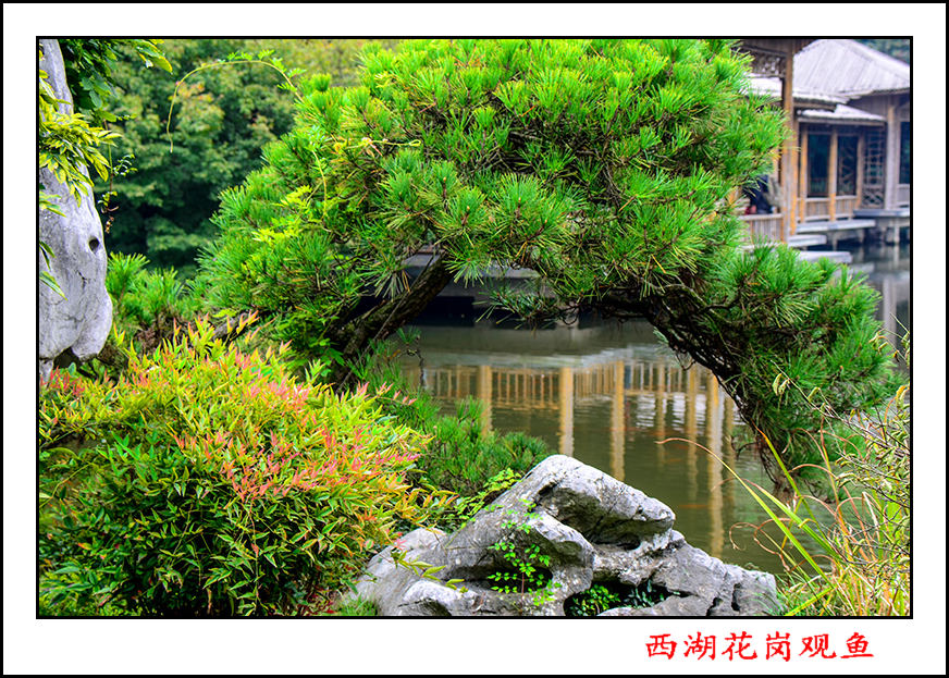 20131018պƬ 01826.jpg