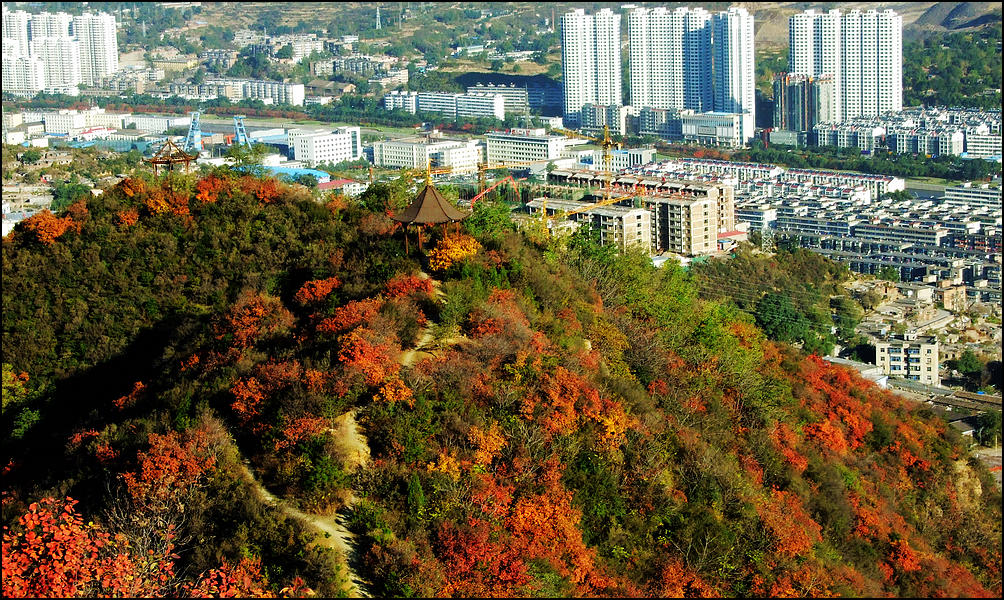 DSCF5443.jpg
