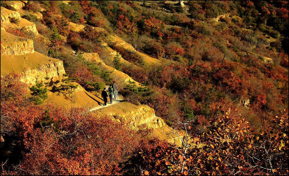 DSCF5418.jpg