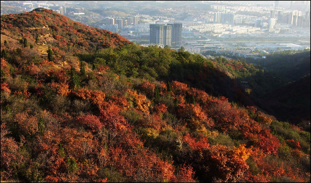 DSCF5411.jpg