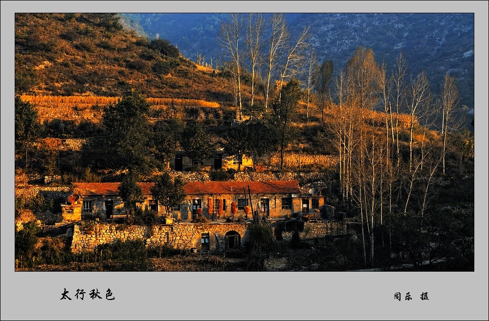 DSC_0066.jpg