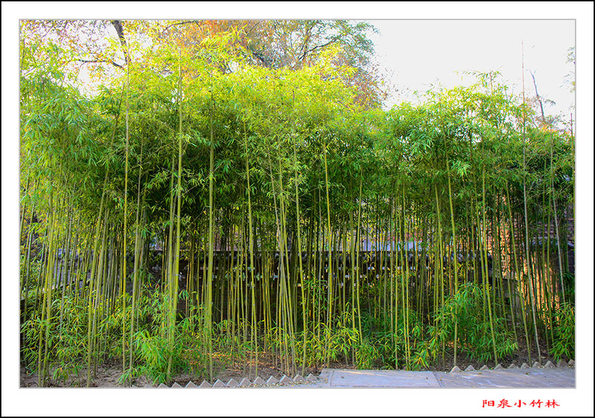 20131027Ƭ 2o1005.jpg
