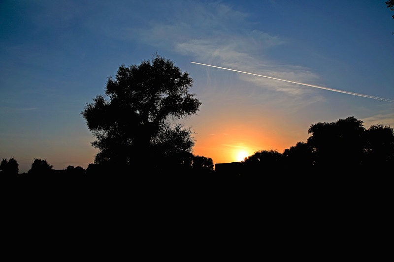 DH6A34371_.jpg