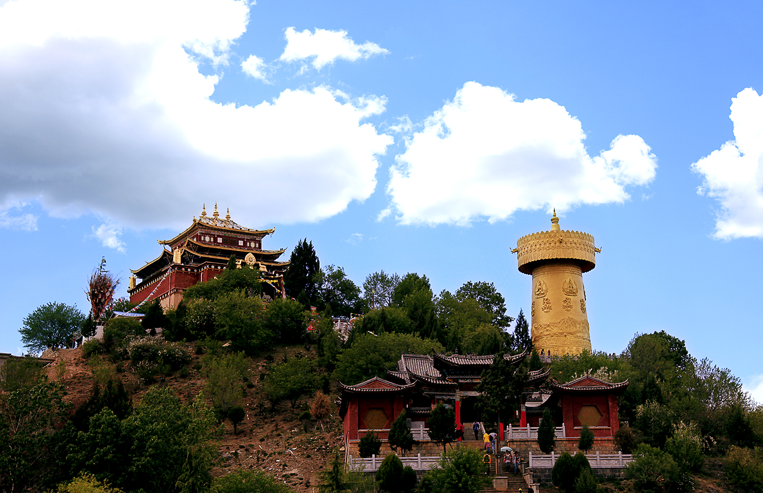 _MG_2584.jpg