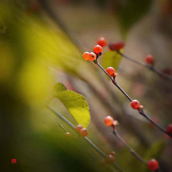 Ƭ 070.jpg
