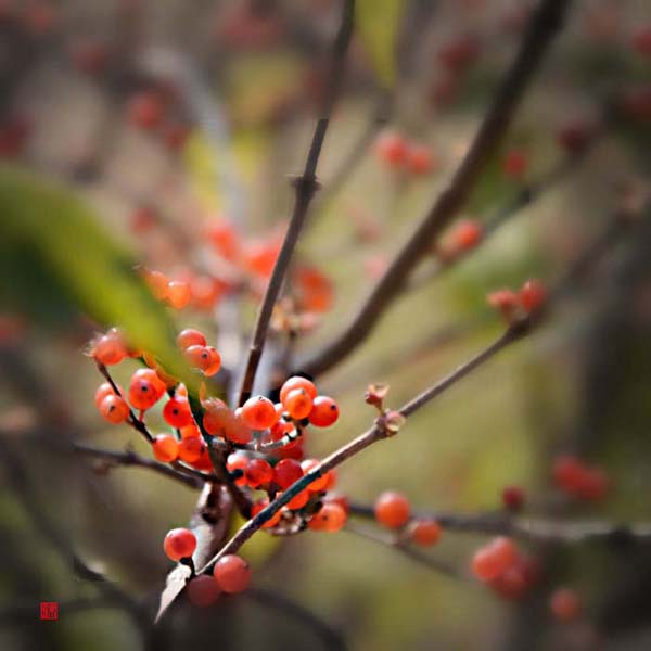 Ƭ 069.jpg