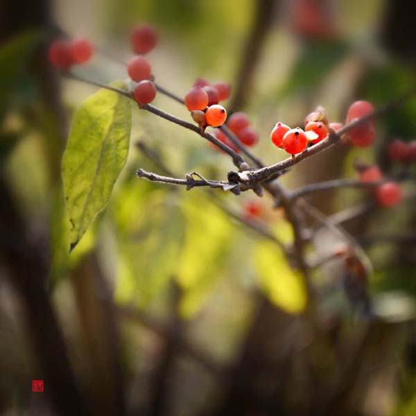 Ƭ 067.jpg