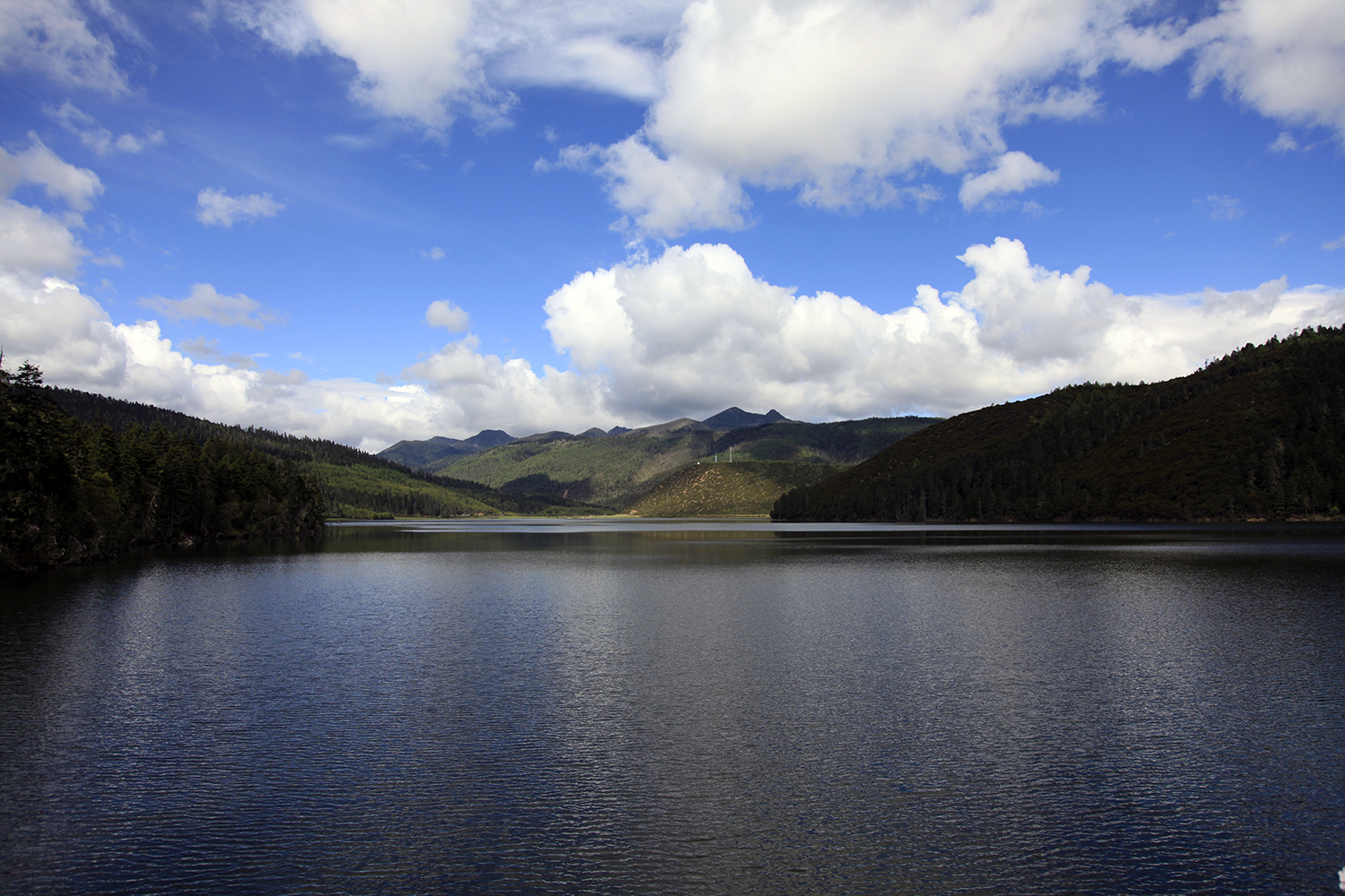 _MG_3144.jpg