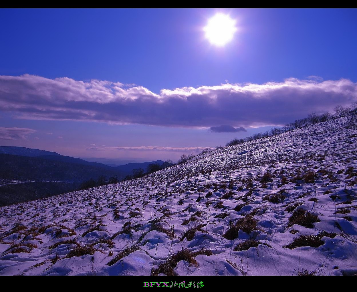 DSC01790_conew2.jpg