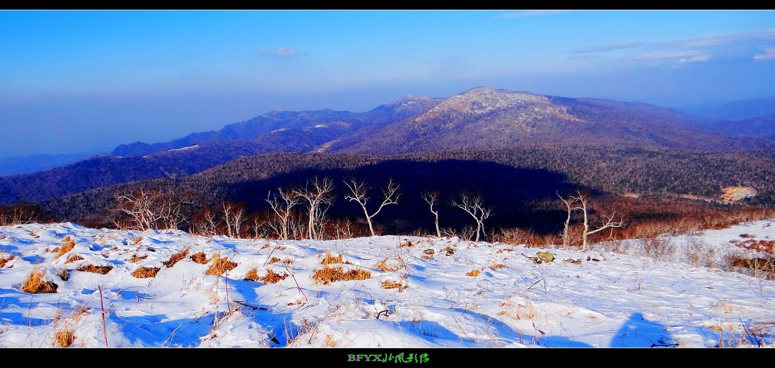 DSC01861_conew2.jpg