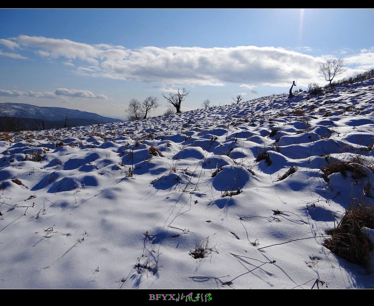 DSC01814_conew2.jpg