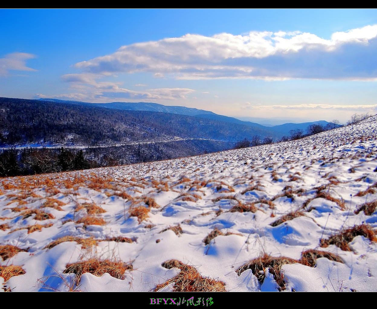 DSC01789_conew2.jpg