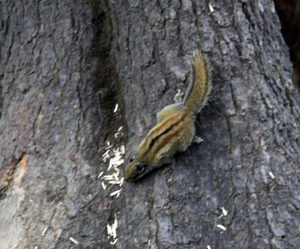 _MG_3307.jpg