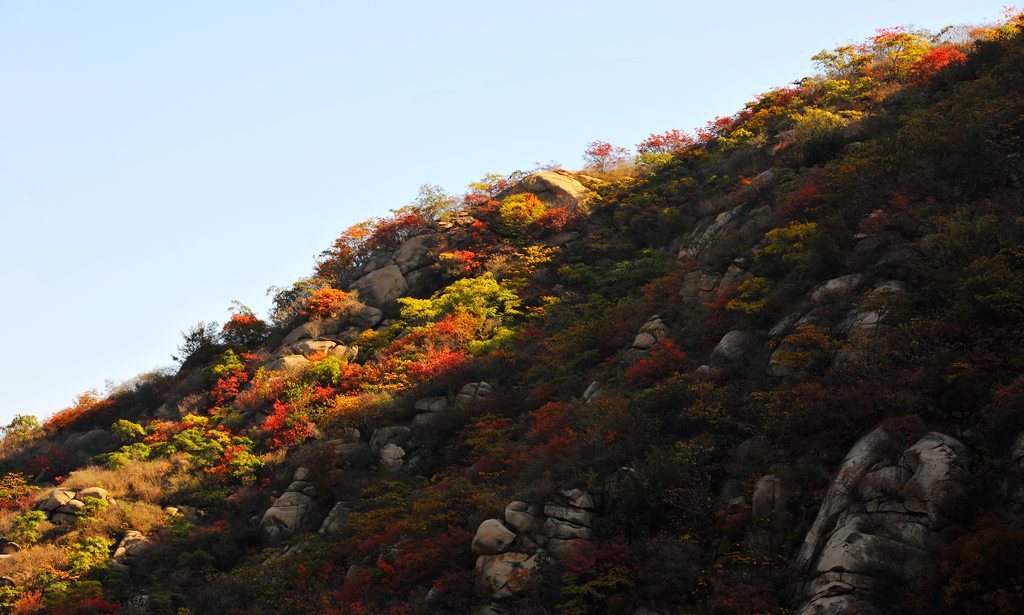 ῵D3X2013116ա 167.jpg