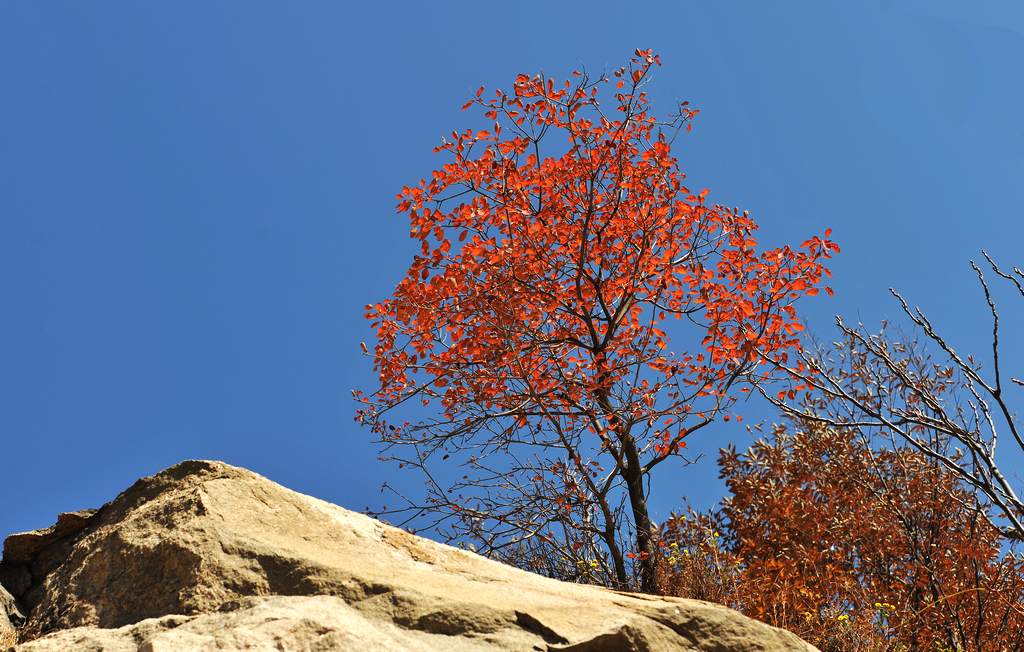 ῵D3X2013116ա 210.jpg