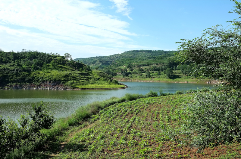 DSCF7534.JPG