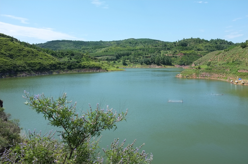 DSCF7546.JPG
