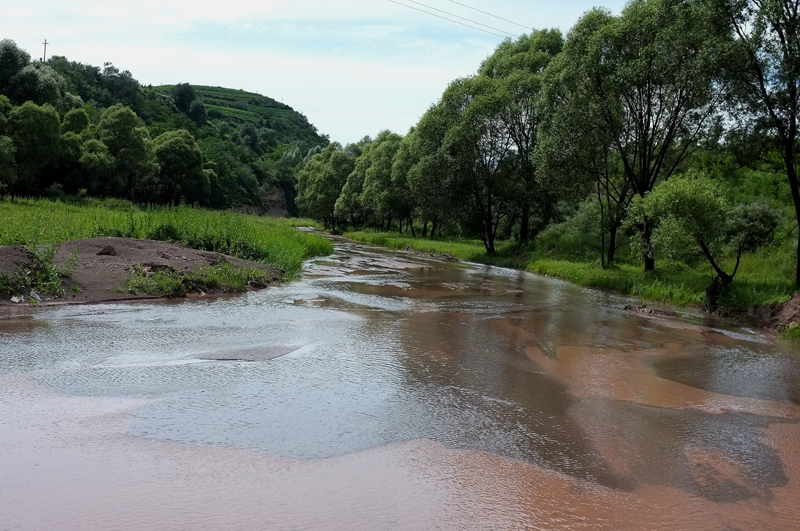 DSCF7558.JPG