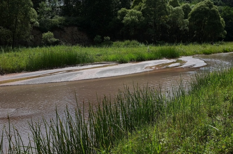 DSCF7571.JPG
