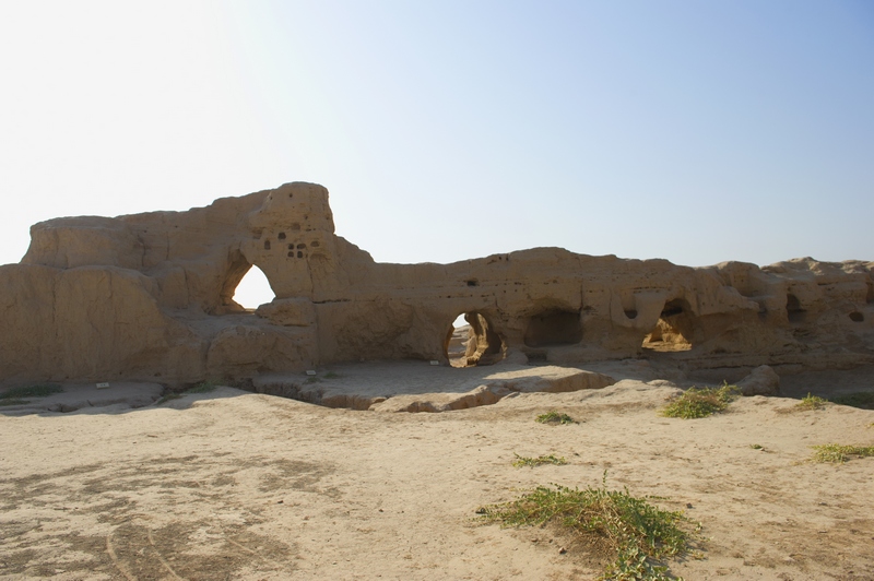 DSC_1645...jpg