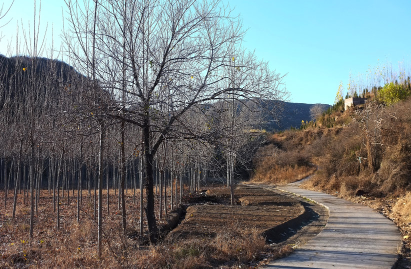 DSCF2092.JPG