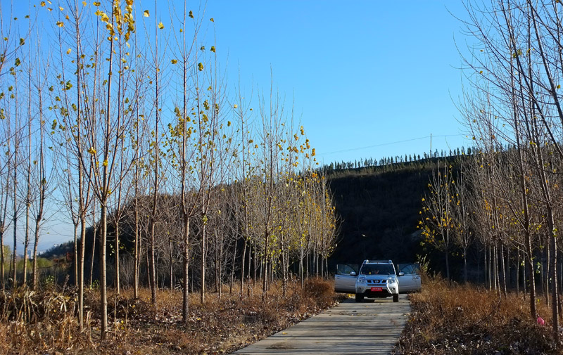 DSCF2096.JPG