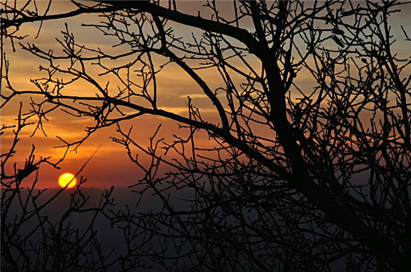 DSC_0089_.jpg