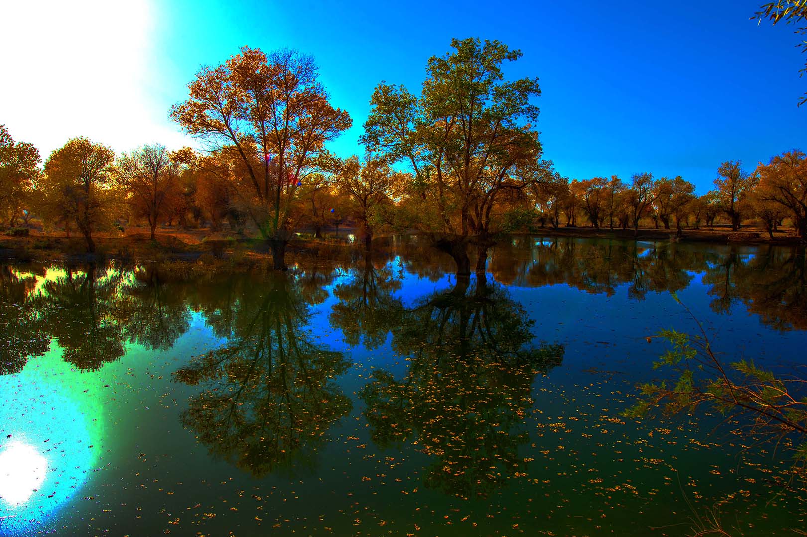 DSC_7332.......jpg