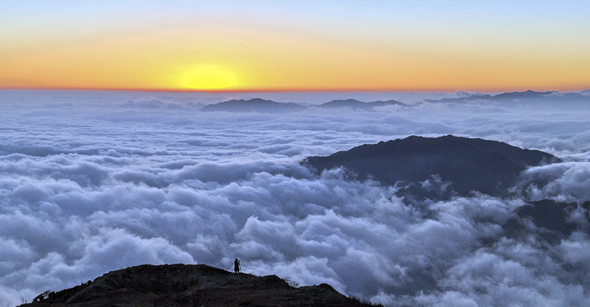 DSC_8312_conew1_.jpg