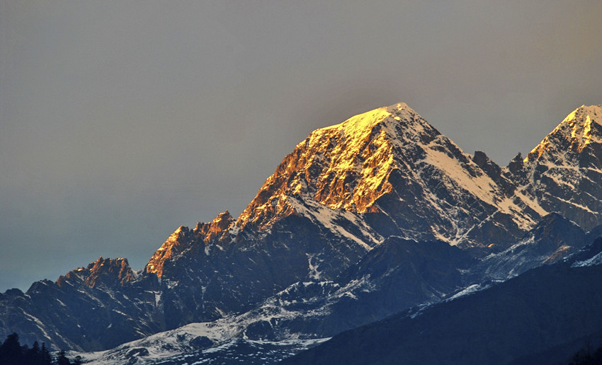 DSC_8417_conew1_.jpg