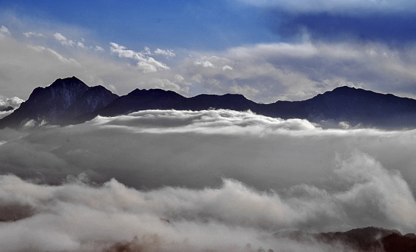 DSC_8218_conew1_.jpg