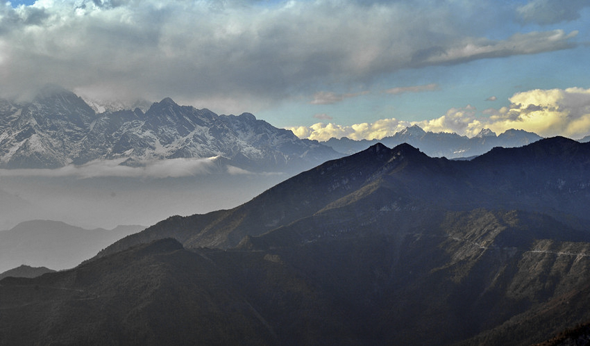 DSC_8223_conew1_.jpg