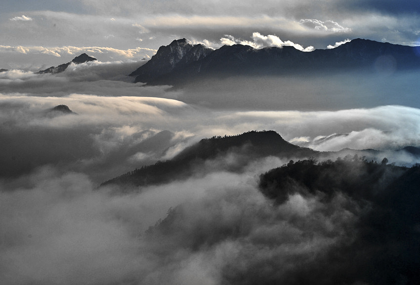 DSC_8242_conew1_.jpg
