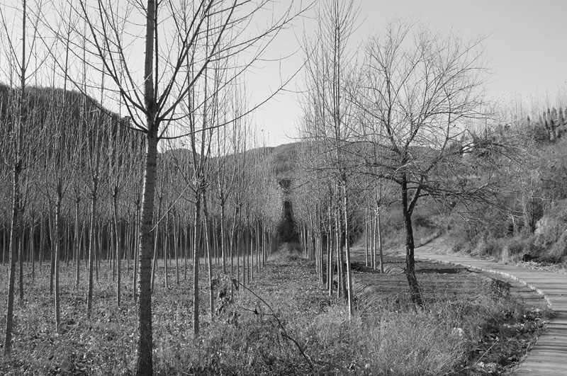 DSCF2091.JPG