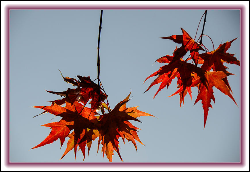 20131010ëɽҶƬ 11093.jpg