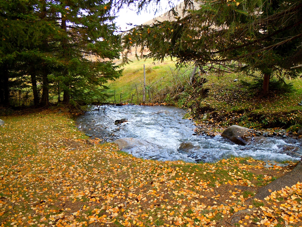 DSCN5103.JPG