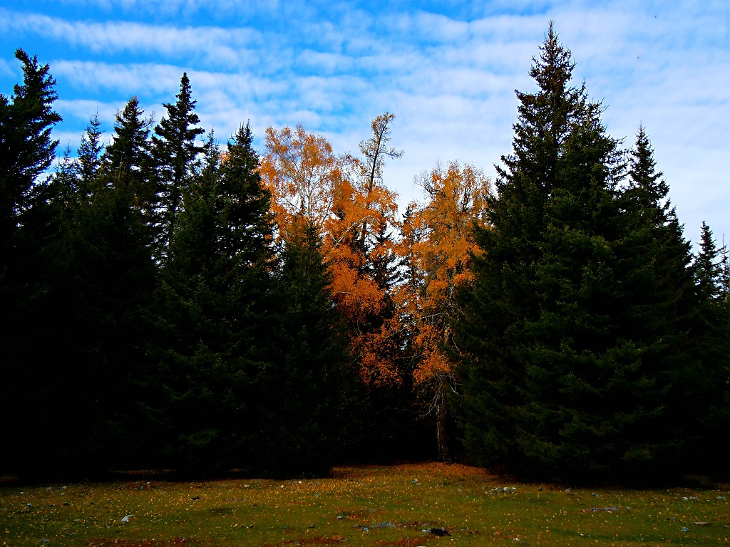 DSCN5141.JPG
