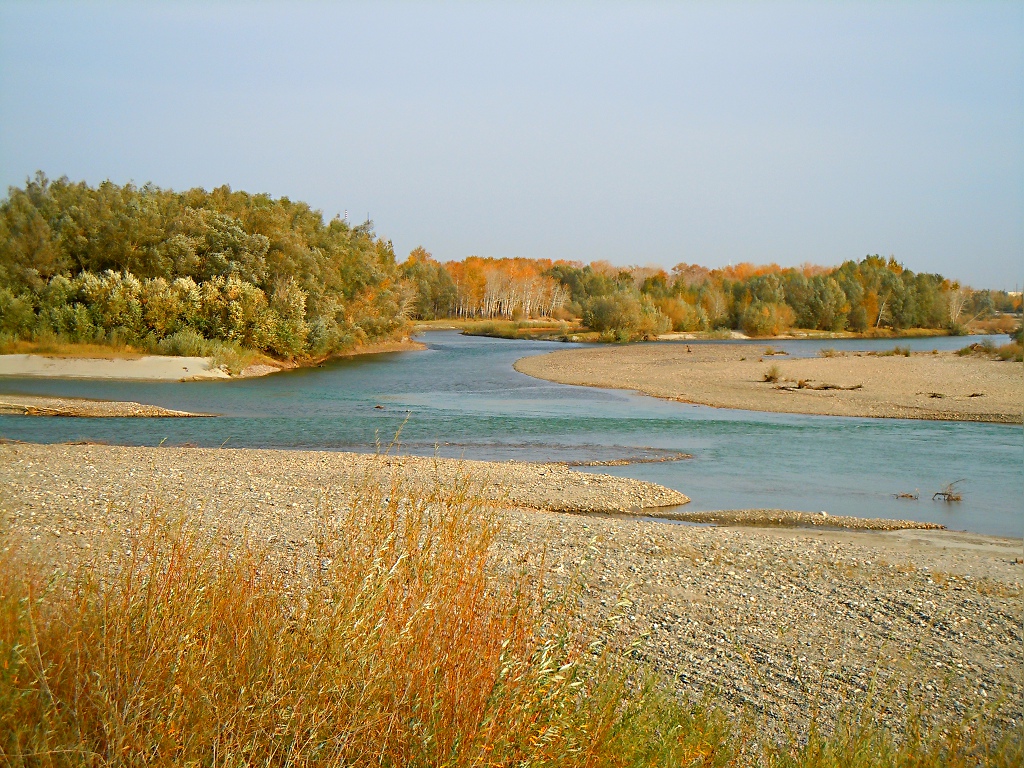 DSCN4930.JPG
