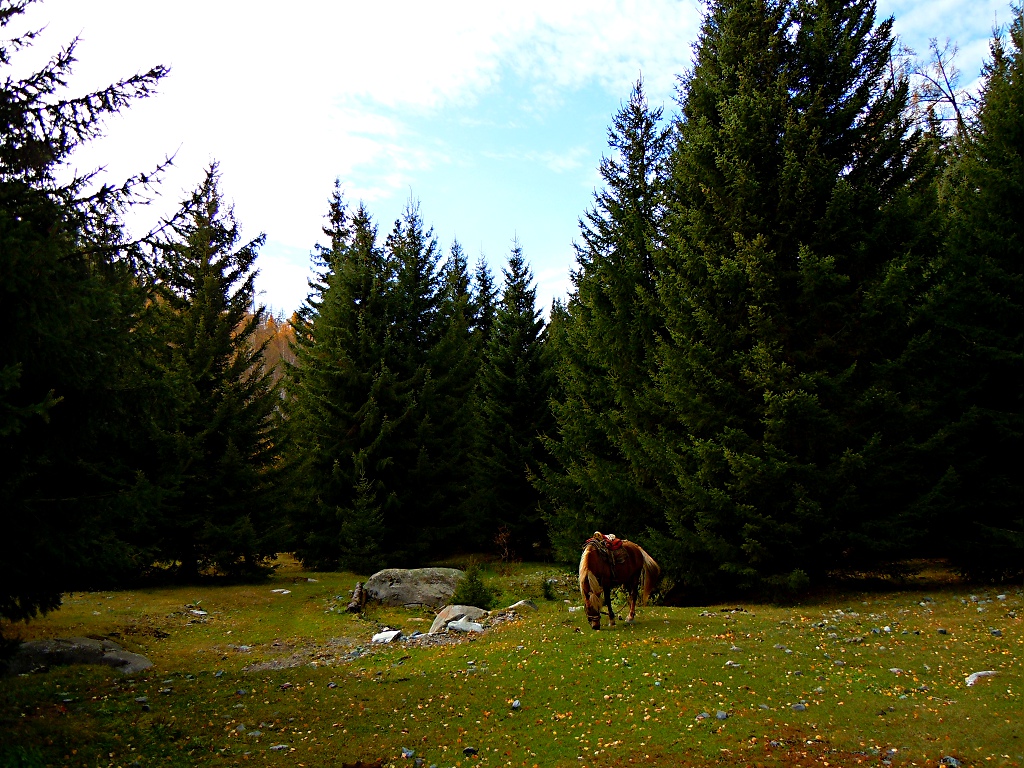 DSCN5168.JPG